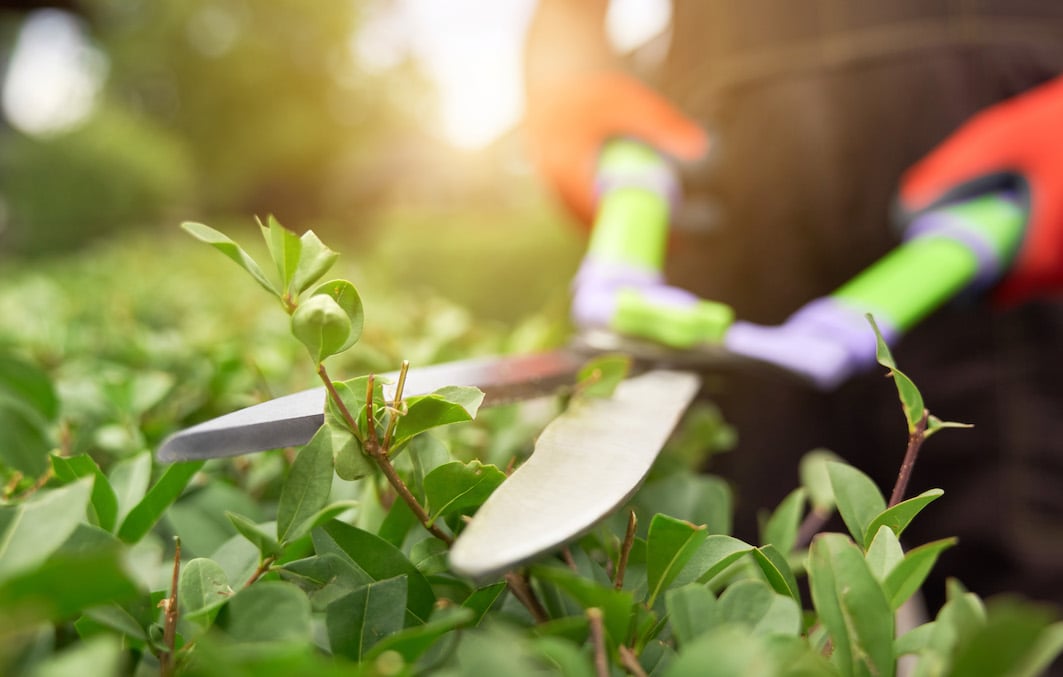 seguros landscaping