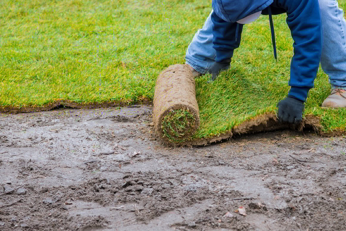 new-lawn-rolls-fresh-grass-turf-ready-be-used-gardening (1)